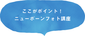 ここがポイント！